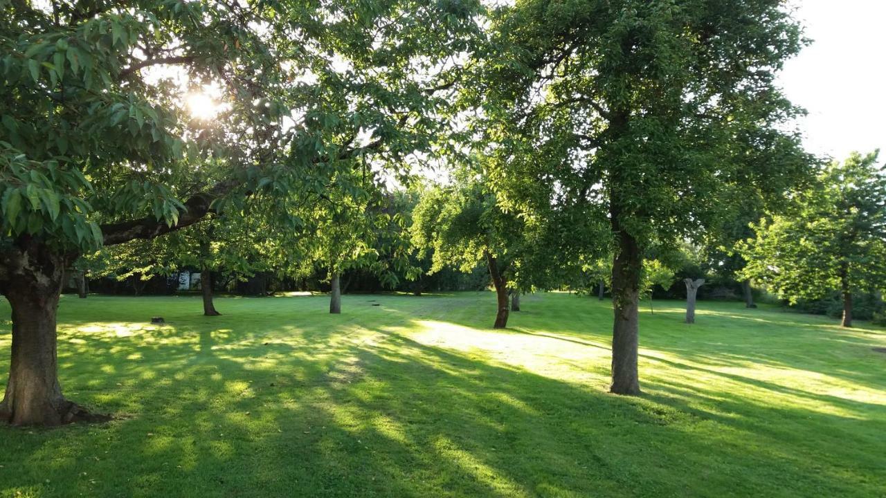 Ferienwohnungen "Weitblick" Und "Schwalbennest" Lodmannshagen Extérieur photo