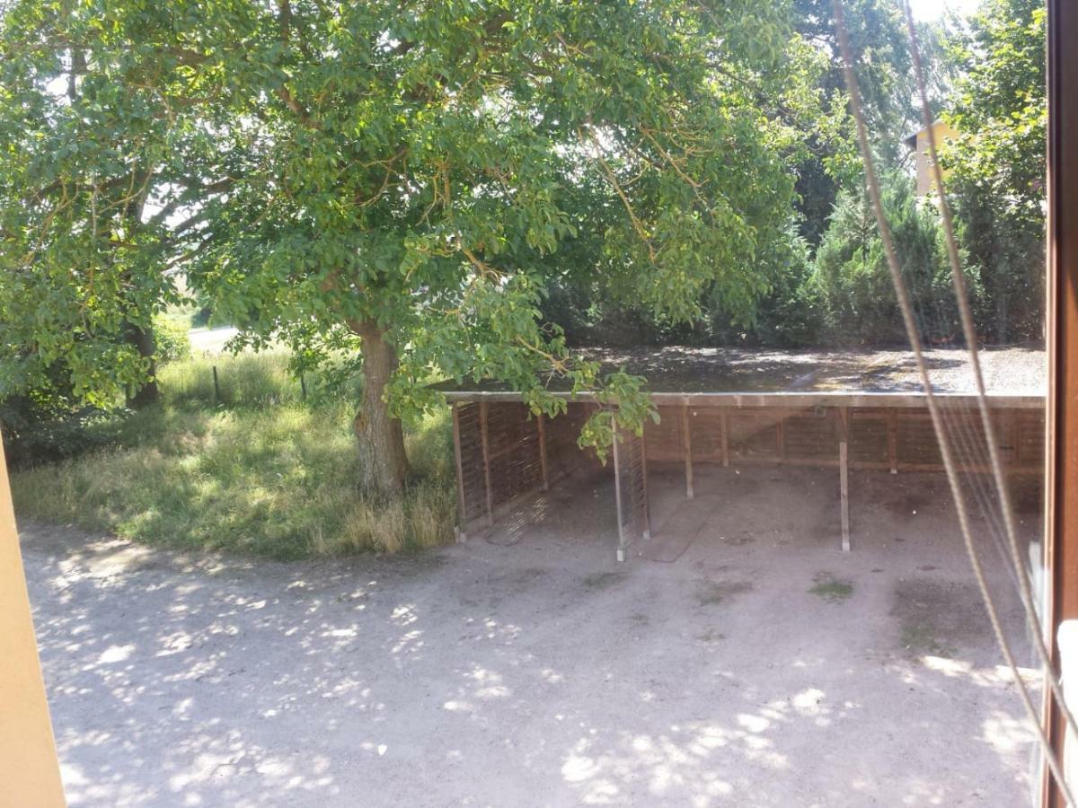 Ferienwohnungen "Weitblick" Und "Schwalbennest" Lodmannshagen Extérieur photo